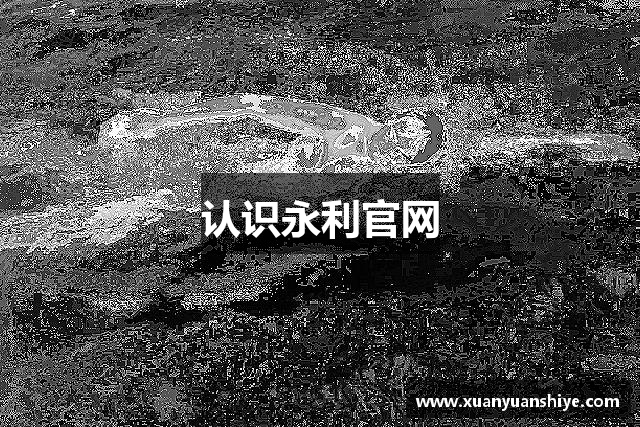 认识永利官网